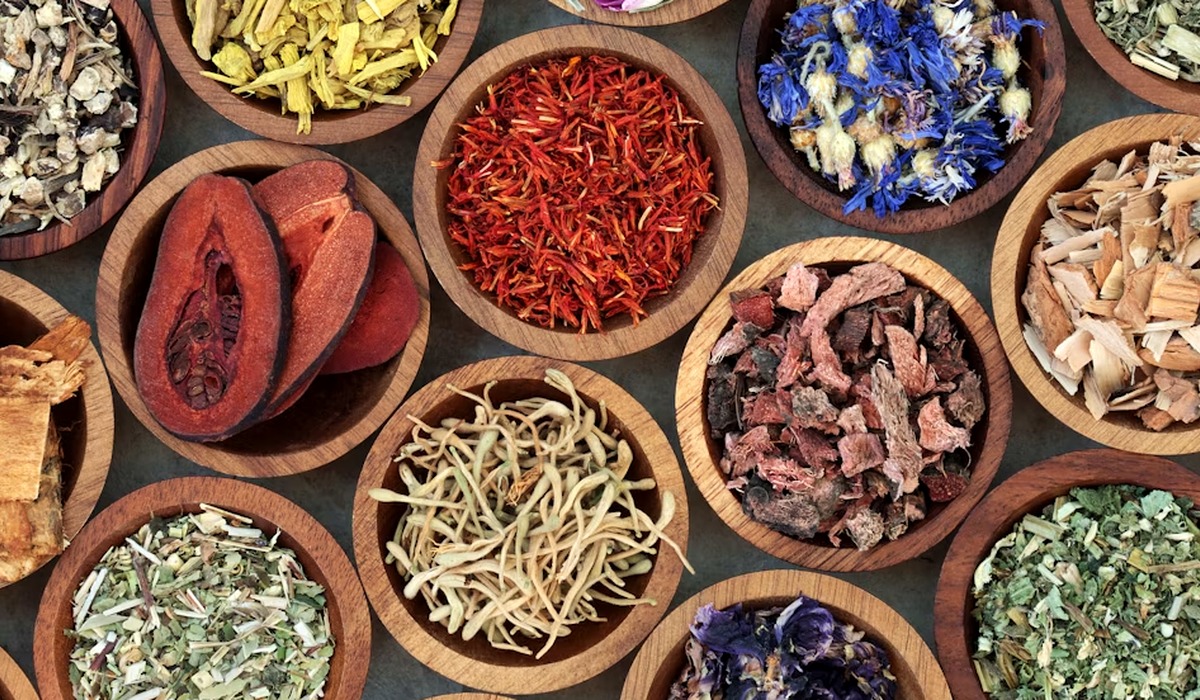 Quality control image used for mushroom ingredient sourcing page